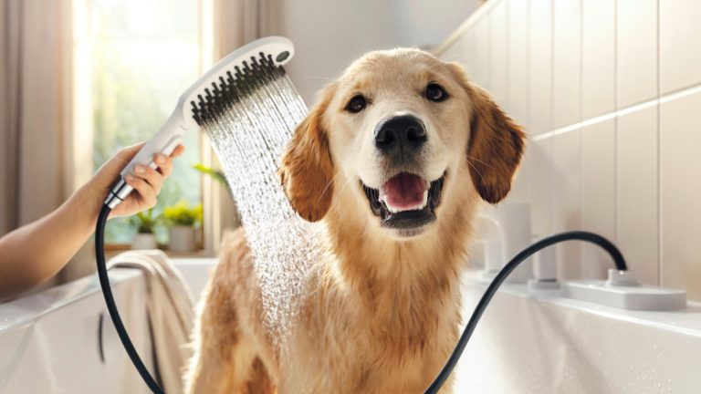 Hansgrohe Dog Shower