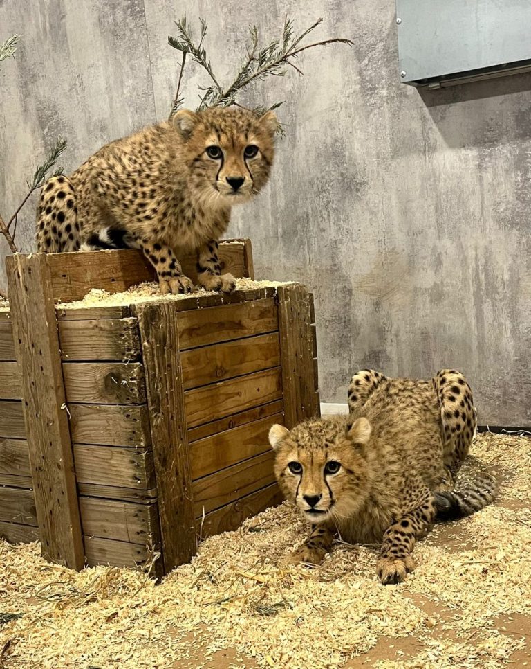 Bathroom-Review-Multipanel-Yorkshire-Wildlife-Park