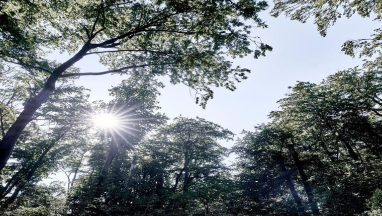 KEUCO-Sustainability-report